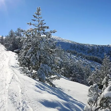 Spacious Sleeps 4 In Flora Main Building 706a *