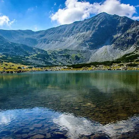 Apartment Spacious Sleeps 4 In Flora Main Building 706a Borovets