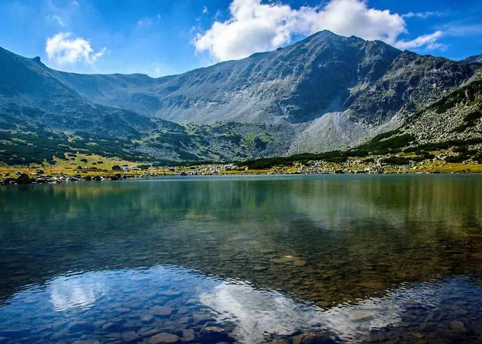 Apartamento Spacious Sleeps 4 In Flora Main Building 706a Borovets